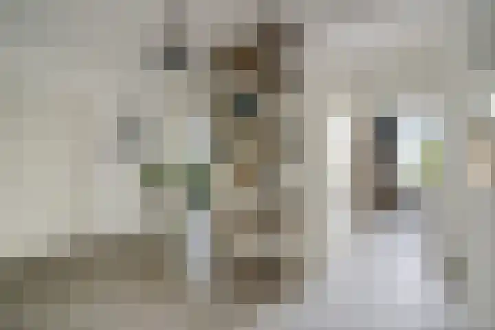 Everaertstraat 53 Rotterdam thumbnail 16