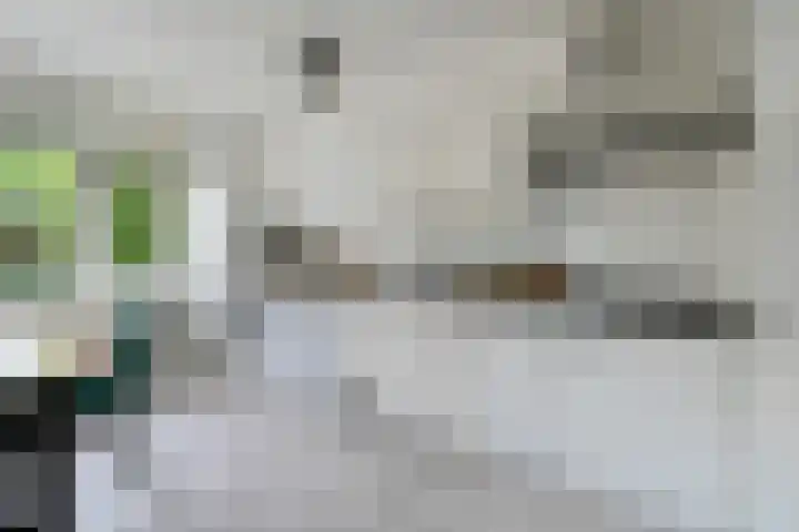 Everaertstraat 53 Rotterdam thumbnail 23