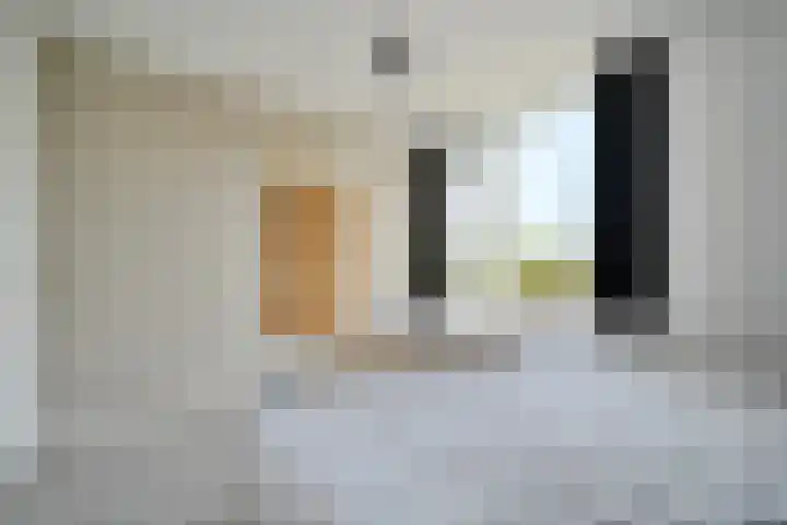 Everaertstraat 53 Rotterdam thumbnail 28