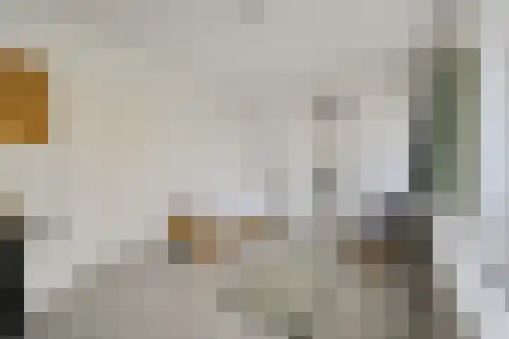 Everaertstraat 53 Rotterdam thumbnail 31