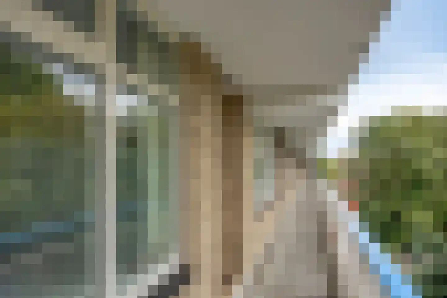 Everaertstraat 55 Rotterdam thumbnail 24