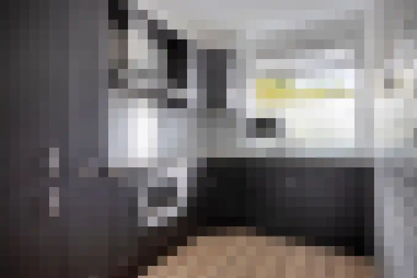 Everaertstraat 55 Rotterdam thumbnail 7