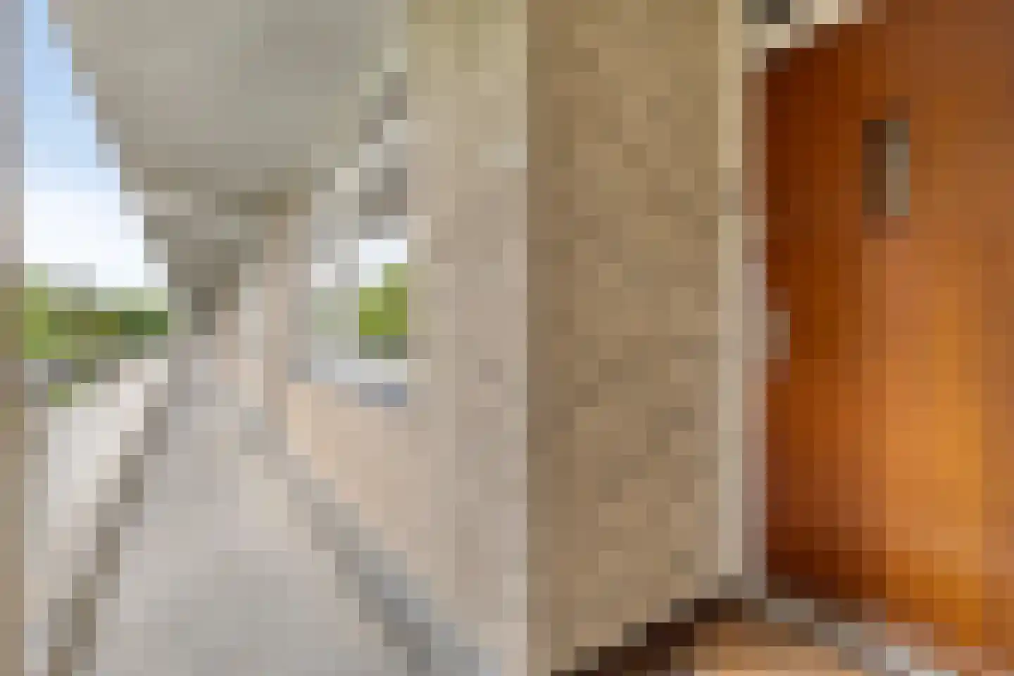 Everaertstraat 71 Rotterdam thumbnail 10