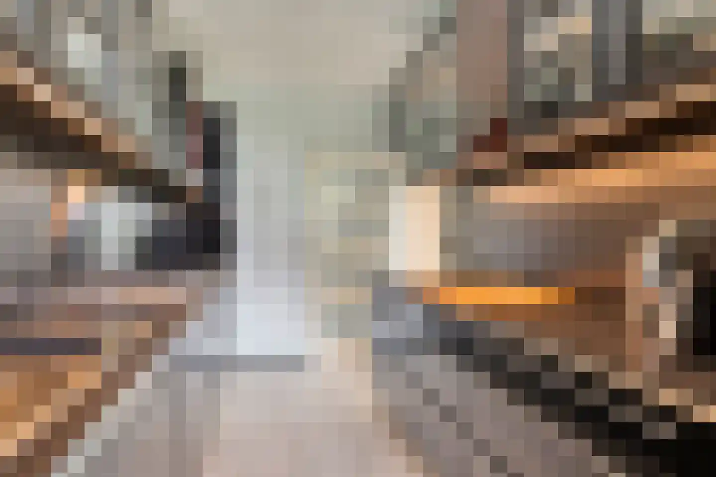 Everaertstraat 71 Rotterdam thumbnail 18