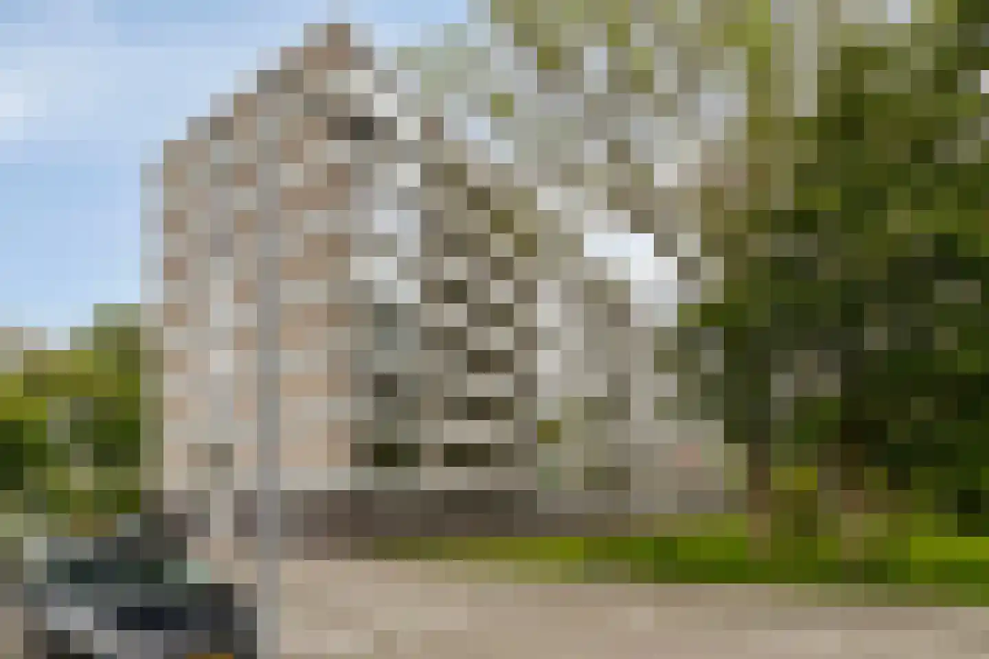 Everaertstraat 71 Rotterdam thumbnail 6