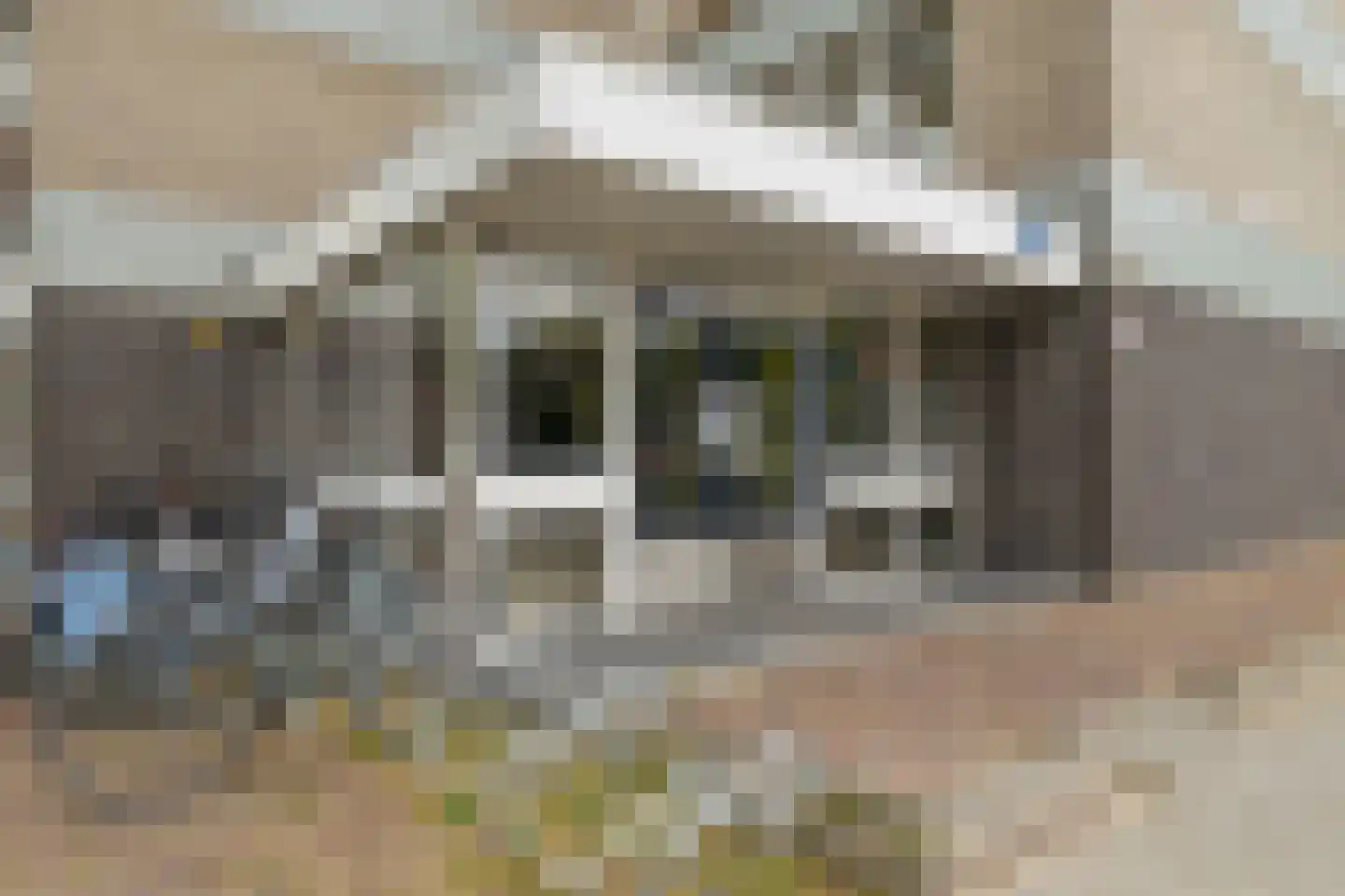 Everaertstraat 71 Rotterdam thumbnail 7