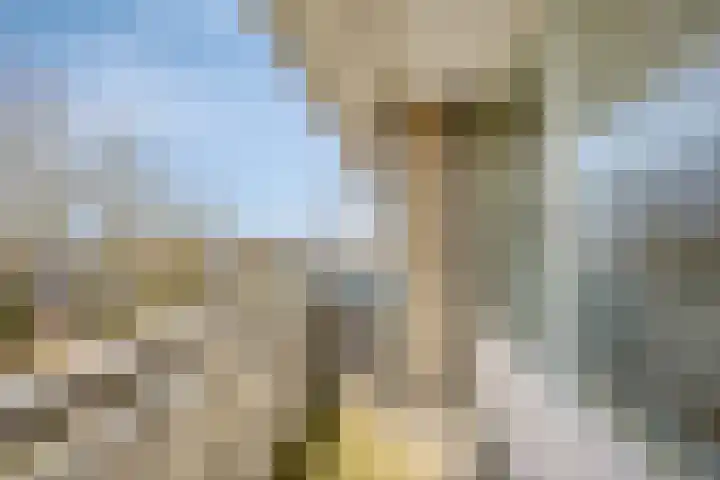 Everaertstraat 87 Rotterdam thumbnail 19
