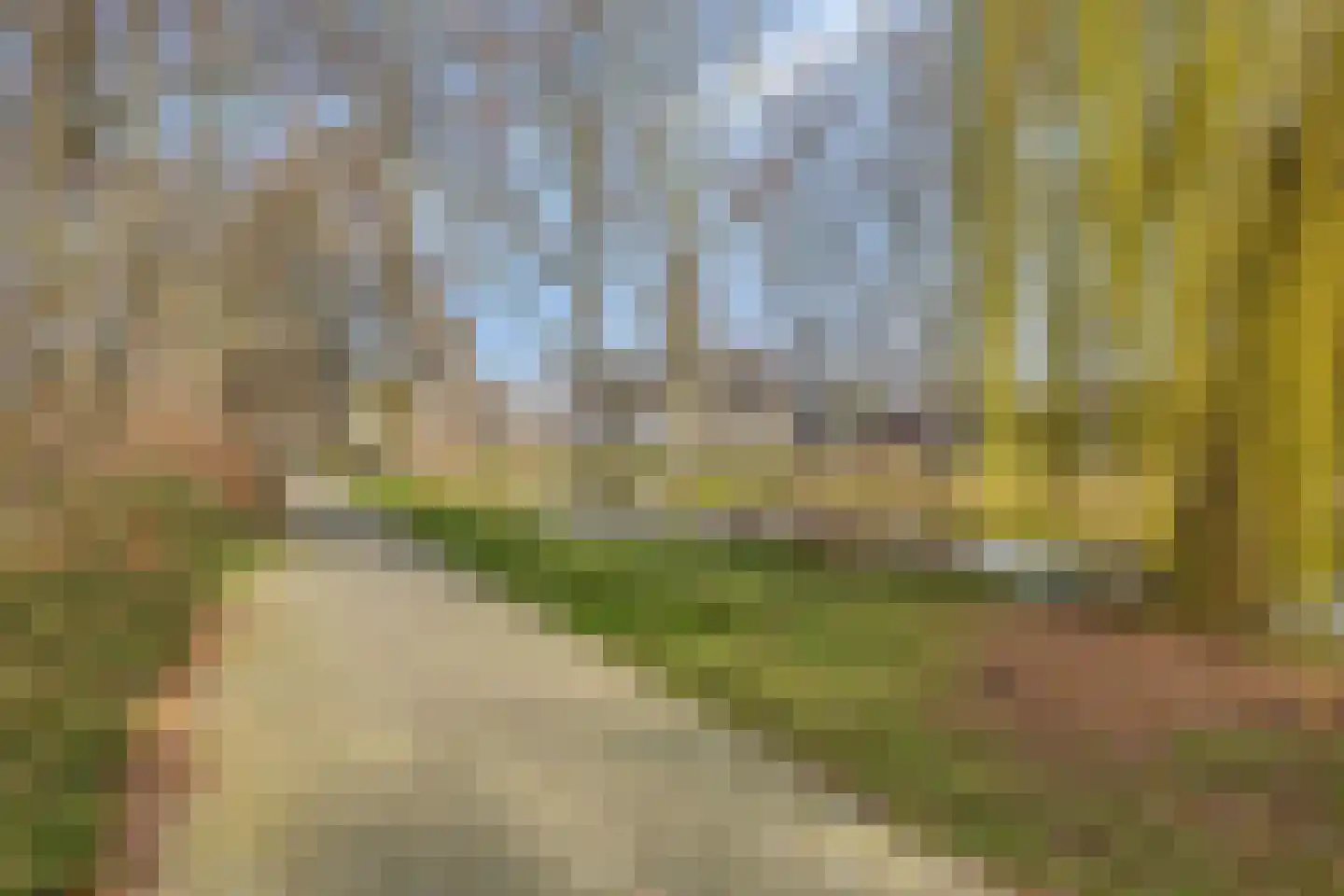 Everaertstraat 87 Rotterdam thumbnail 35