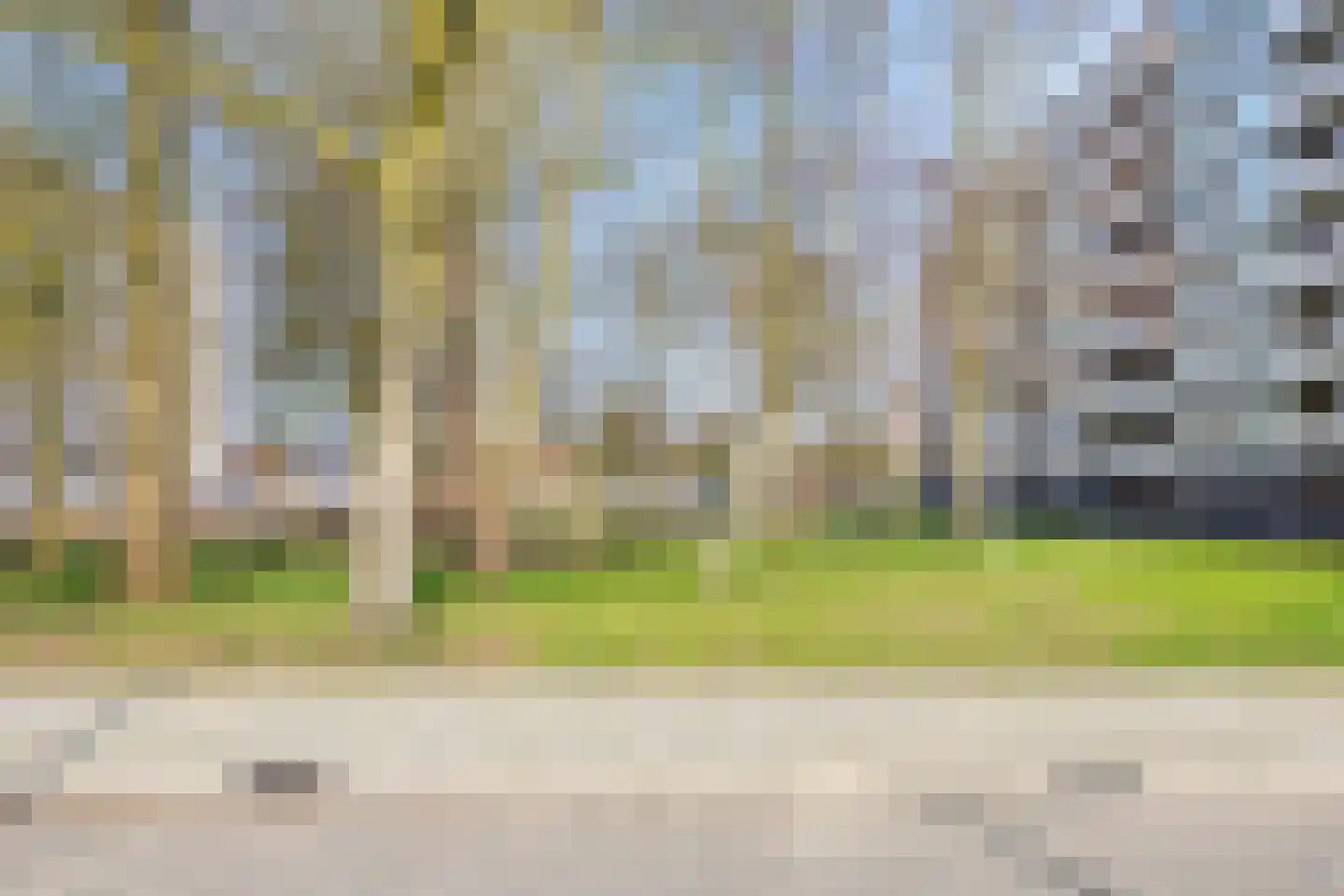 Everaertstraat 87 Rotterdam thumbnail 6