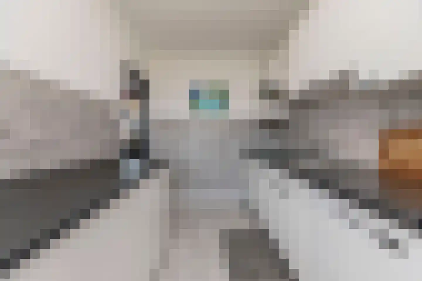 Everaertstraat 91 Rotterdam thumbnail 11