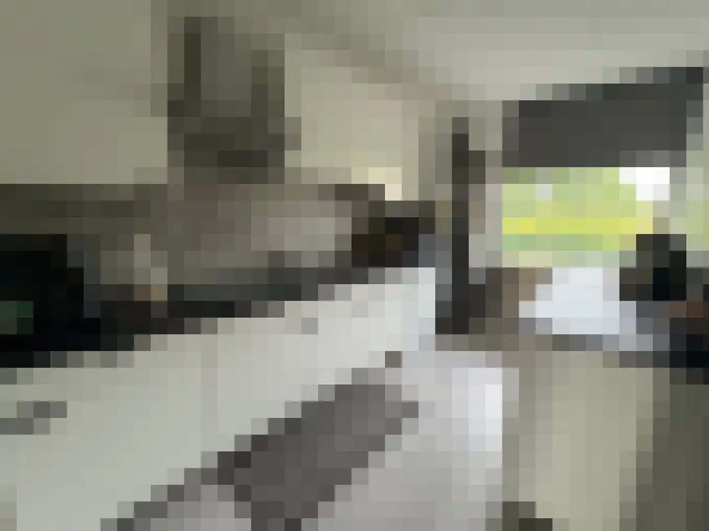 Everaertstraat 91 Rotterdam thumbnail 12