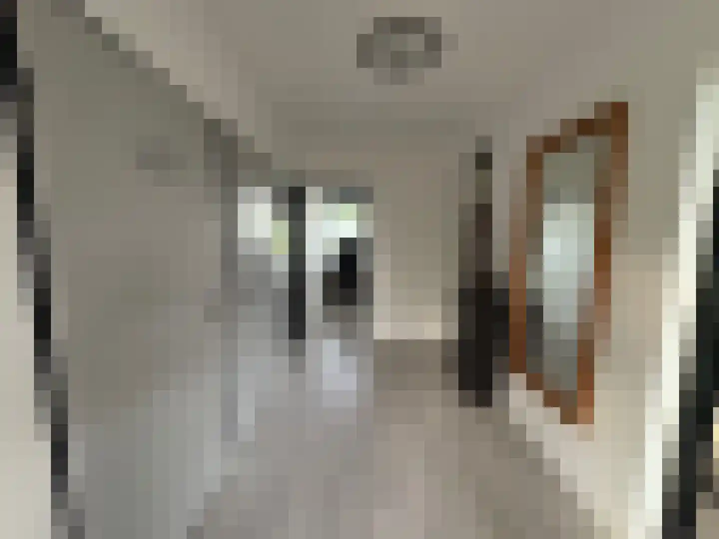 Everaertstraat 91 Rotterdam thumbnail 13