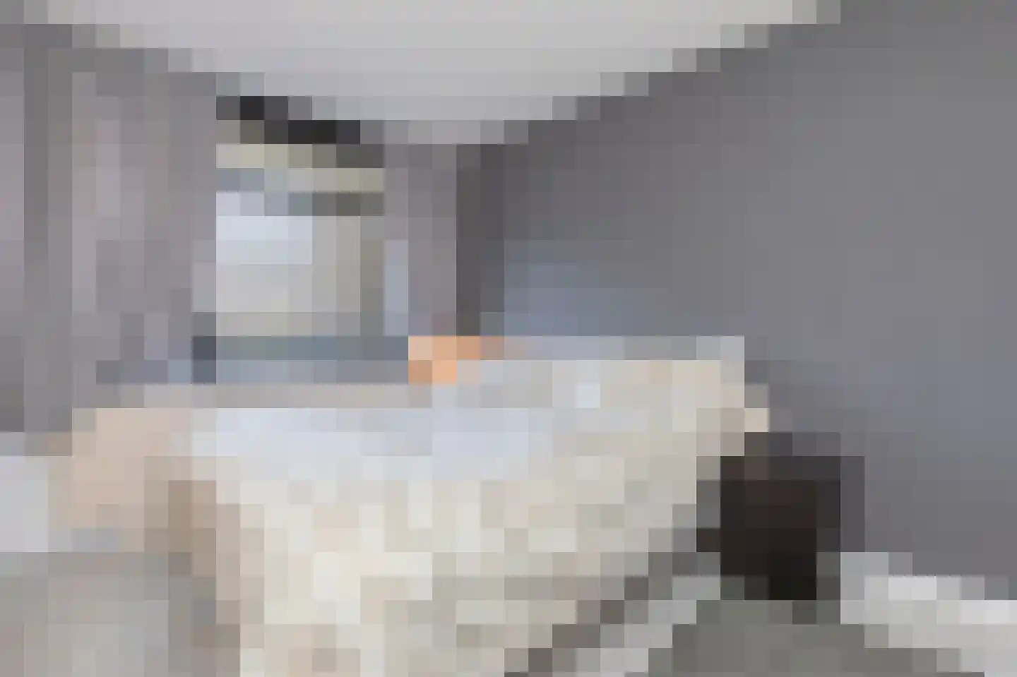 Everaertstraat 91 Rotterdam thumbnail 7