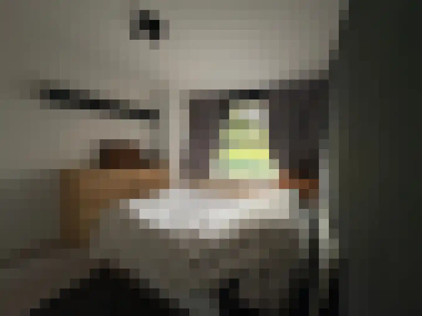Everaertstraat 91 Rotterdam thumbnail 8