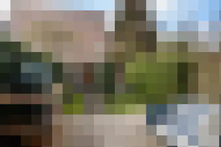 Everard Foeckstraat 14 Utrecht thumbnail 5