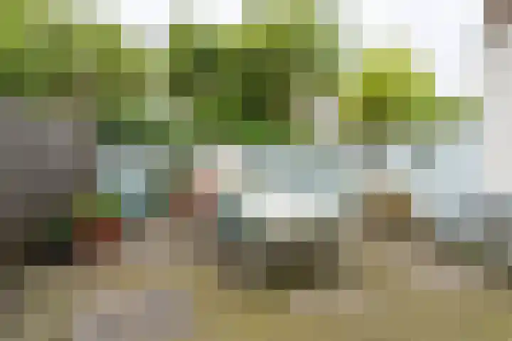 Everard Meijsterlaan 67 Utrecht thumbnail 21