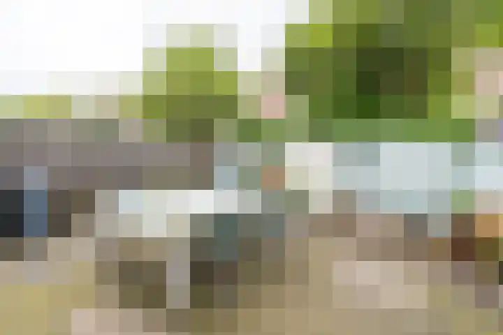Everard Meijsterlaan 67 Utrecht thumbnail 22