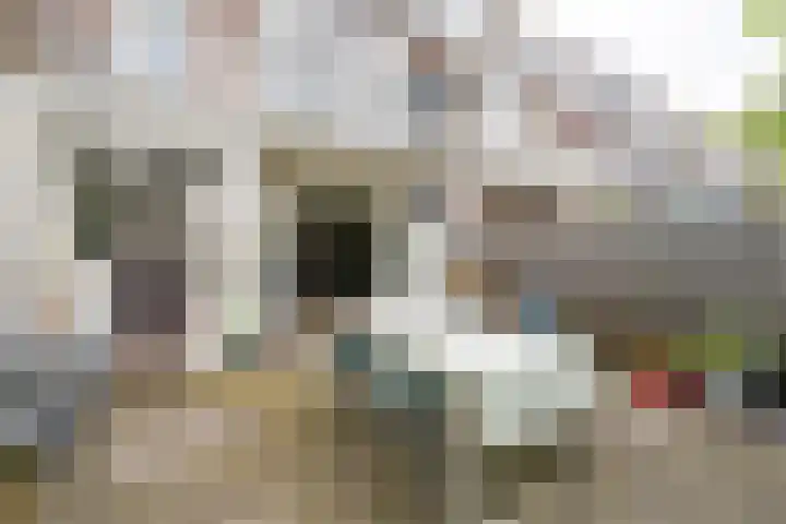 Everard Meijsterlaan 67 Utrecht thumbnail 24