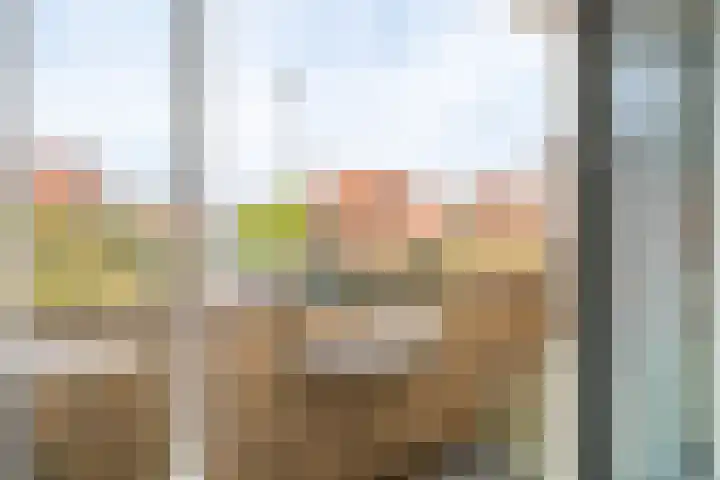 Everard Meijsterlaan 67 Utrecht thumbnail 34