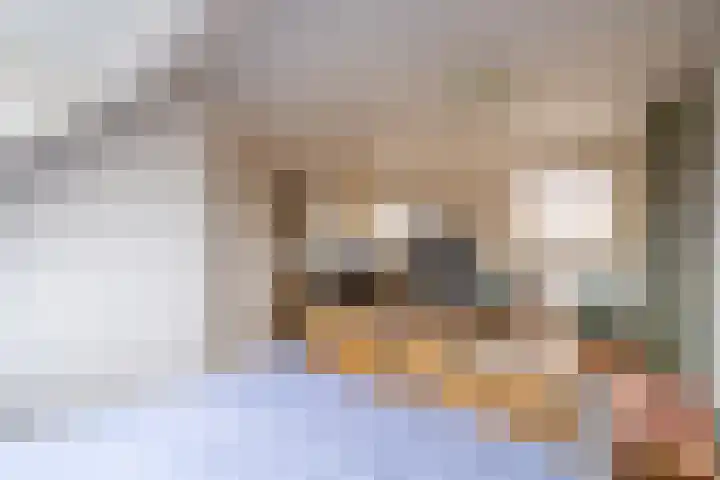 Everard Meijsterlaan 67 Utrecht thumbnail 38