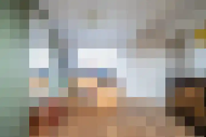 Everard Meijsterlaan 67 Utrecht thumbnail 39
