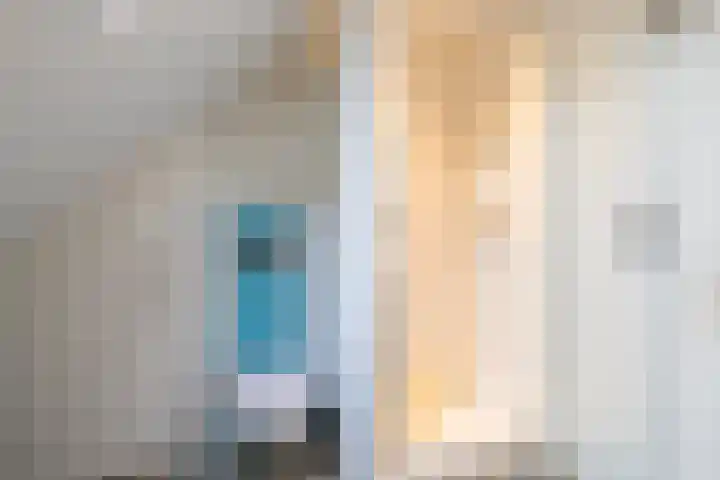 Everard Meijsterlaan 67 Utrecht thumbnail 42