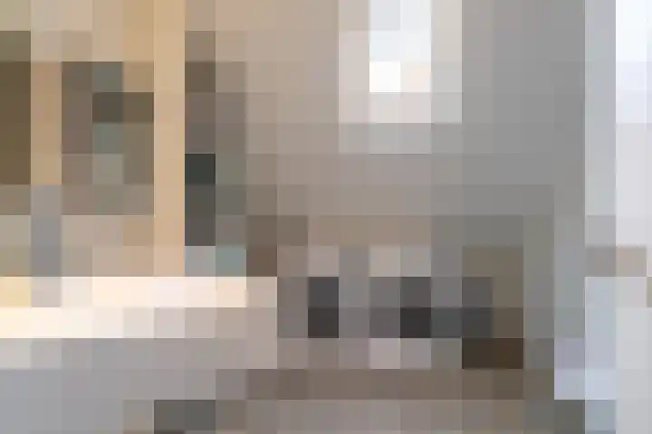 Everard Meijsterlaan 67 Utrecht thumbnail 43