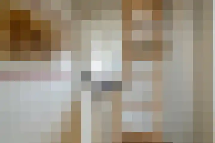 Everard Meijsterlaan 67 Utrecht thumbnail 46