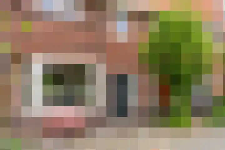 Everard Meijsterlaan 67 Utrecht thumbnail 48