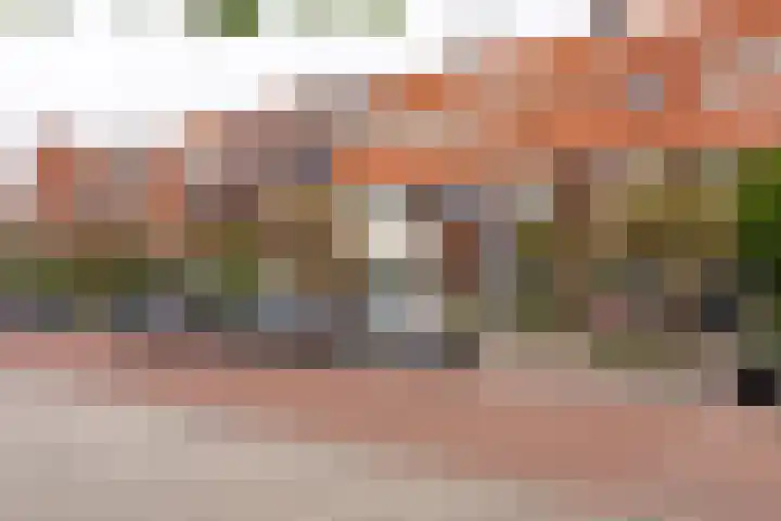 Everard Meijsterlaan 67 Utrecht thumbnail 49