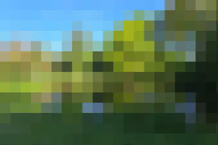 Everard Meijsterlaan 67 Utrecht thumbnail 51