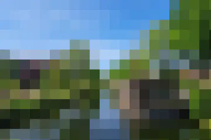 Everard Meijsterlaan 67 Utrecht thumbnail 53