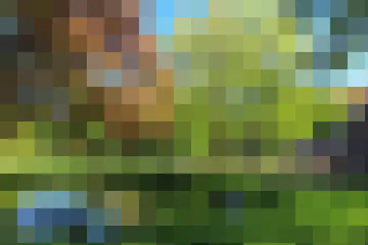 Everard Meijsterlaan 67 Utrecht thumbnail 54