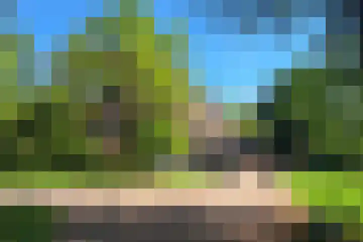 Everard Meijsterlaan 67 Utrecht thumbnail 55