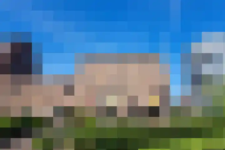 Everard Meijsterlaan 67 Utrecht thumbnail 56