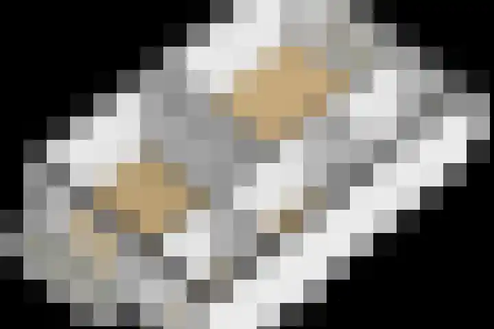 Everard Meijsterlaan 67 Utrecht thumbnail 60