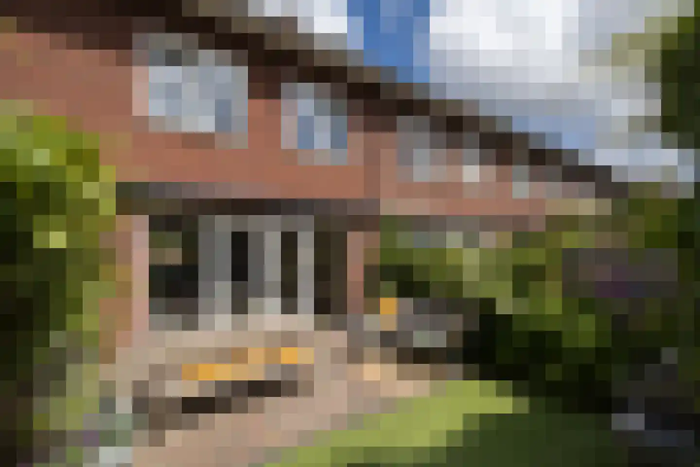 Everard Meijsterlaan 80 Utrecht thumbnail 34