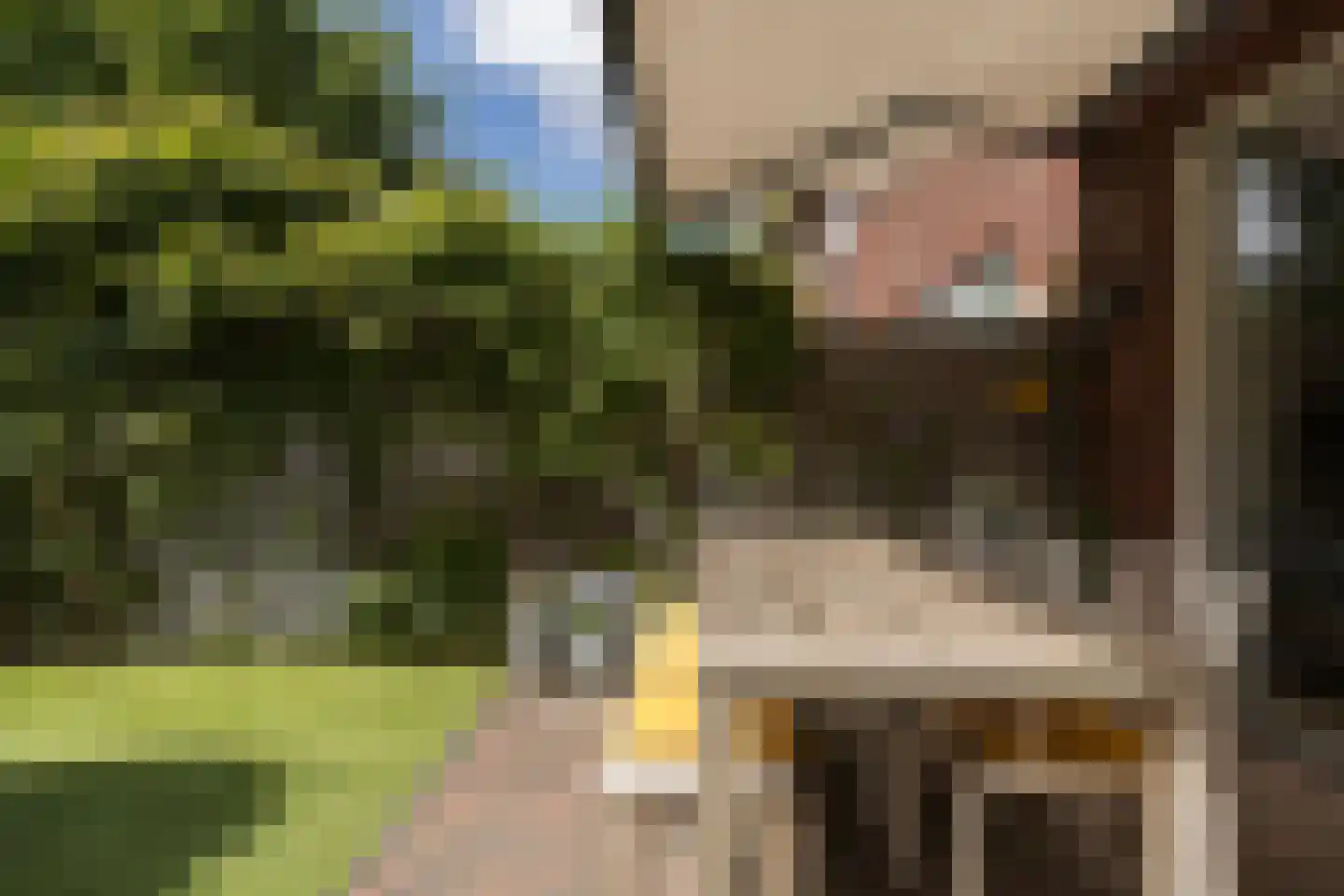 Everard Meijsterlaan 80 Utrecht thumbnail 36