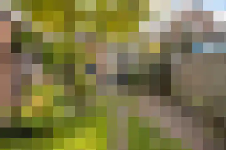 Everard Meysterweg 29 Amersfoort thumbnail 23