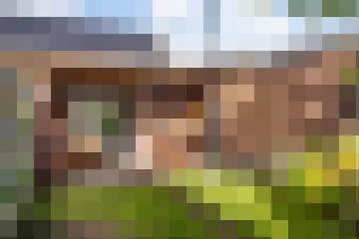 Everard Meysterweg 29 Amersfoort thumbnail 4