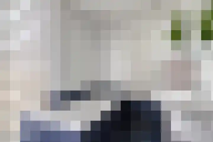 Everard Winterslaan 3 Maarheeze thumbnail 32