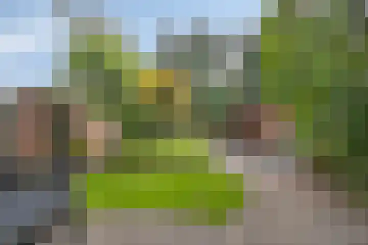 Everard Winterslaan 3 Maarheeze thumbnail 36