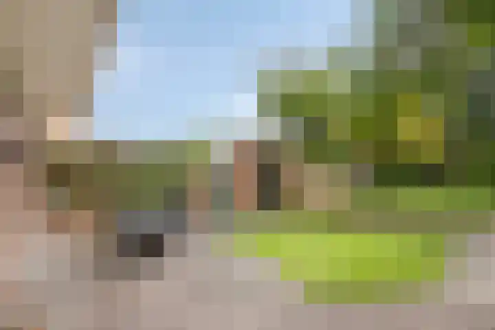 Everard Winterslaan 3 Maarheeze thumbnail 37