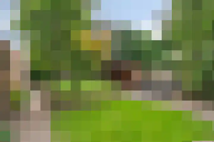 Everard Winterslaan 3 Maarheeze thumbnail 6