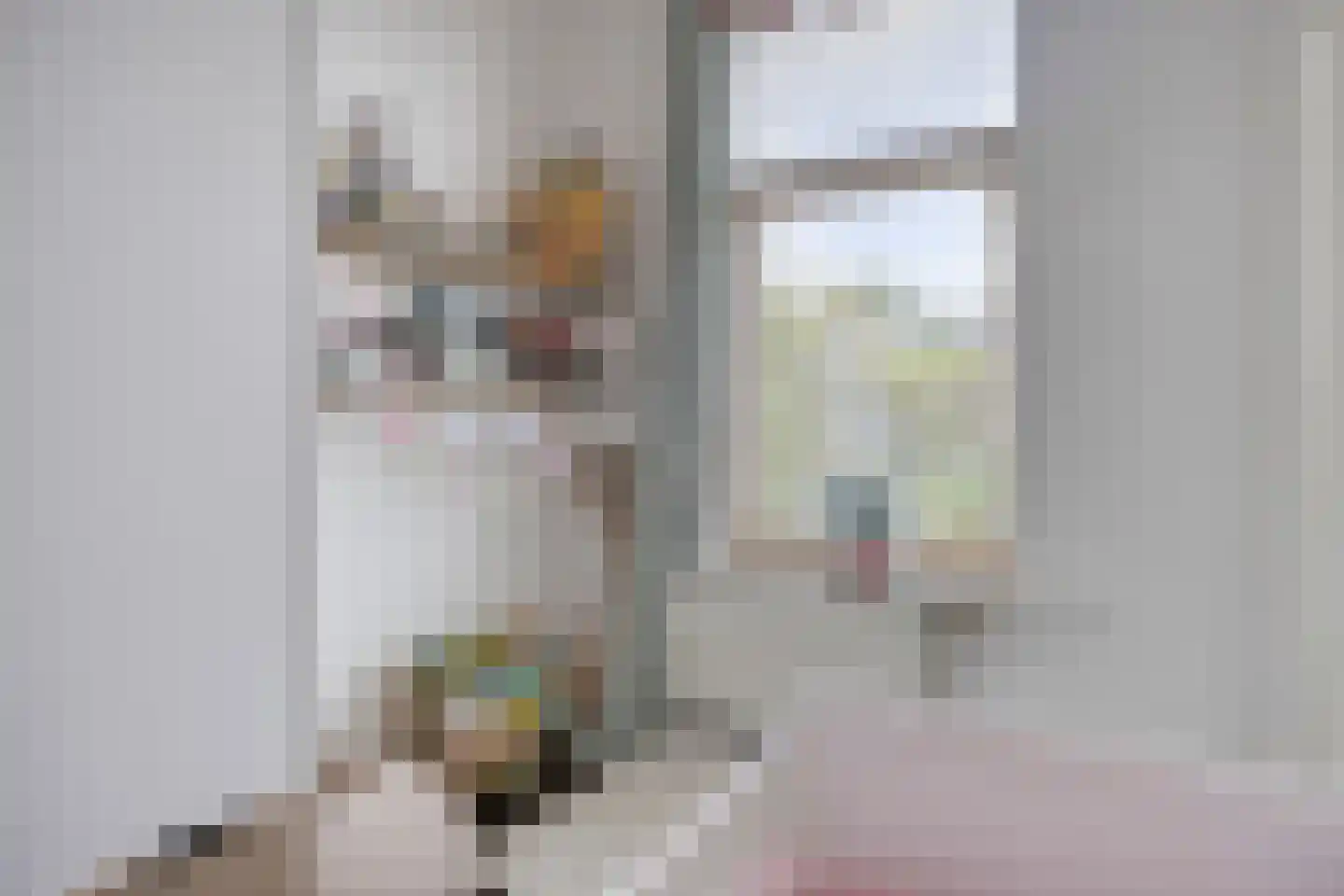Everard Zoudenbalchstraat 13 Utrecht thumbnail 16
