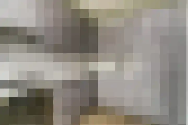 Everardus van Gochstraat 58 Oudheusden thumbnail 10