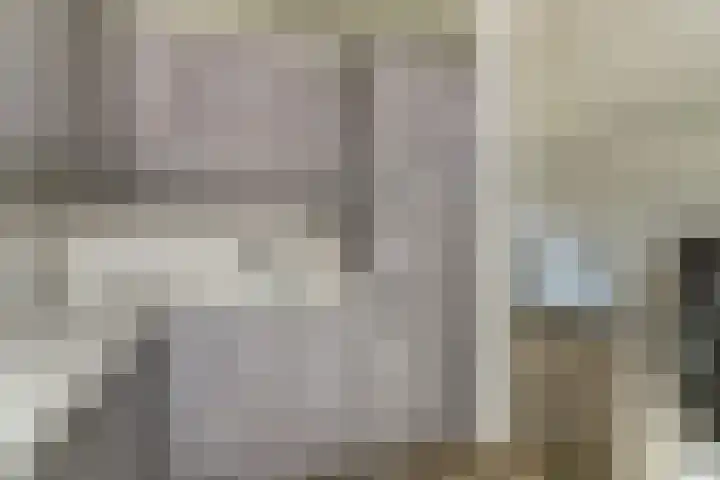 Everardus van Gochstraat 58 Oudheusden thumbnail 11