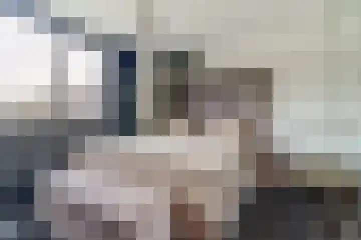 Everardus van Gochstraat 58 Oudheusden thumbnail 16