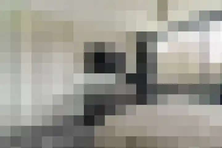 Everardus van Gochstraat 58 Oudheusden thumbnail 17