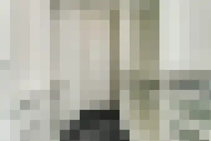 Everardus van Gochstraat 58 Oudheusden thumbnail 19